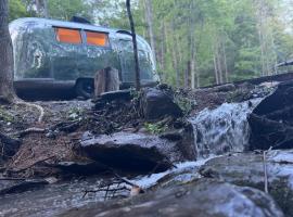 Streamside Shinytiny Airstream In The Smokies，位于科斯比的酒店