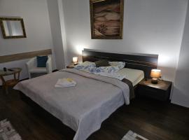 Bluestars Home，位于卡罗维发利的酒店