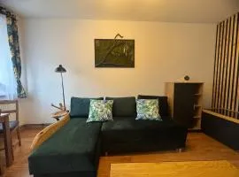 Apartament Zimowa 16