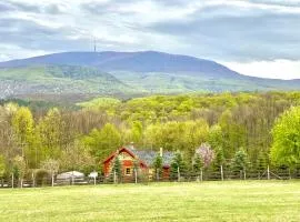 Parádsasvári Sasfészek