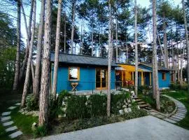 Surányi kék házak