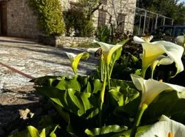 Agriturismo Santa Venera