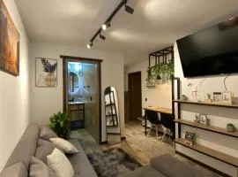 Luxury Industrial Penthouse