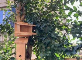 Chambre dans un appartement avec jardin