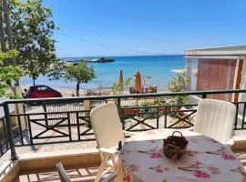 Electra's Beach Front Apartment in Nea Skioni