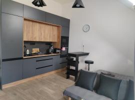 Vicemilice byt，位于维什科夫的酒店