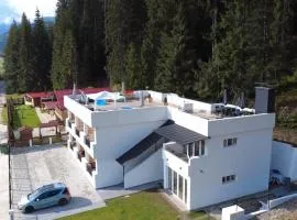 SUGARFAME- Guest House