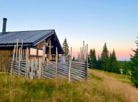 Modern mountain cabin Ski in-out 2 Bathrooms，位于Ringsaker的酒店