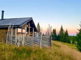 Modern mountain cabin Ski in-out 2 Bathrooms