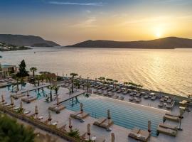 Elounda Infinity Exclusive Resort & Spa - Adults Only，位于伊罗达的酒店
