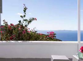 Doras studios mykonos，位于法纳里的酒店