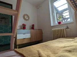 Ubytování Pod Něžnym Obrem