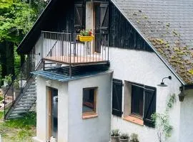 appartement 2 pieces a la montagne