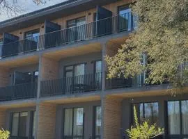 Albatross 949 by the Sea