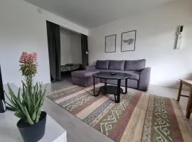 Seinäjoen Puistokulma