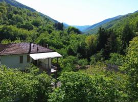 Casa Castagno e Ruscello - Nature Retreat in Liguria，位于Pieve di Teco的酒店