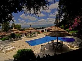 波尔多佐埃罗酒店