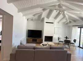 Penthouse with sea view