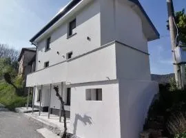 Apartments Stella Vittoria