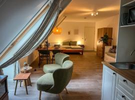 Studio lodge de Bosuil bij Bolmeer Lodges，位于Zevenhuizen的酒店