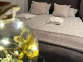 Apartment NakiT