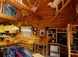 Uniquely Decorated Cabin Rental for a Group Getaway near Homer, Alaska，位于Anchor Point的酒店
