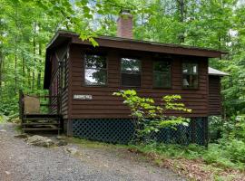 Rustic Cabin in the Woods with Fireplace Ideal for Families near Hanover, New Hampshire，位于Lyme的酒店