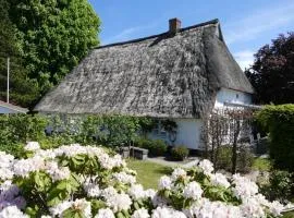 Landhaus zur alten Kastanie