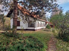 Duna Pearl，位于拉茨凯韦的酒店