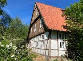 In der Wassermühle