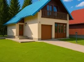 Vila Vasilije