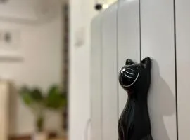 Sotto il Tetto con i Gatti