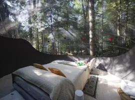 Bubble room sul tetto della Puglia