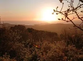 Sa Mesaluna Naturhouse