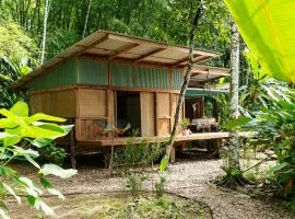 Amazing Cabin RIO LA MIEL