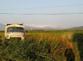 Ballincolla Base Camp