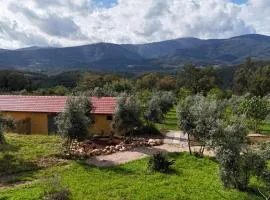 Quinta-lina de serpins