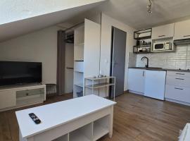 Studio 3 Lumineux，位于萨尔格米纳的酒店