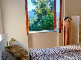 Tra Mare e Collina c'è Belmare