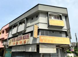 OYO 90994 Hotel Golden Mouse