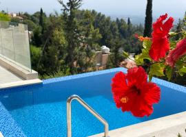 Villa Eirini Kamares Tala Luxury Sea View，位于Tala的酒店
