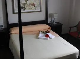 Hotel MINERVA