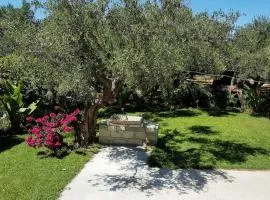 Elia Guesthouse - Kissamos