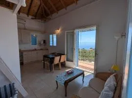 Loft apartment with sea view