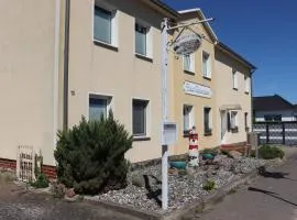 Möwennest Zempin