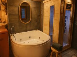 Captain's Jacuzzi&sauna，位于Condé-Sainte-Libiaire的酒店