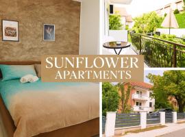Sunflower Apartmani，位于索科矿泉村的民宿