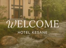 Kesane，位于Ozurgetʼi的酒店