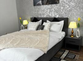 Muller Residence，位于蒂米什瓦拉的自助式住宿