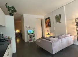 LOFT by Messe Basel with a Garden and 24h Service